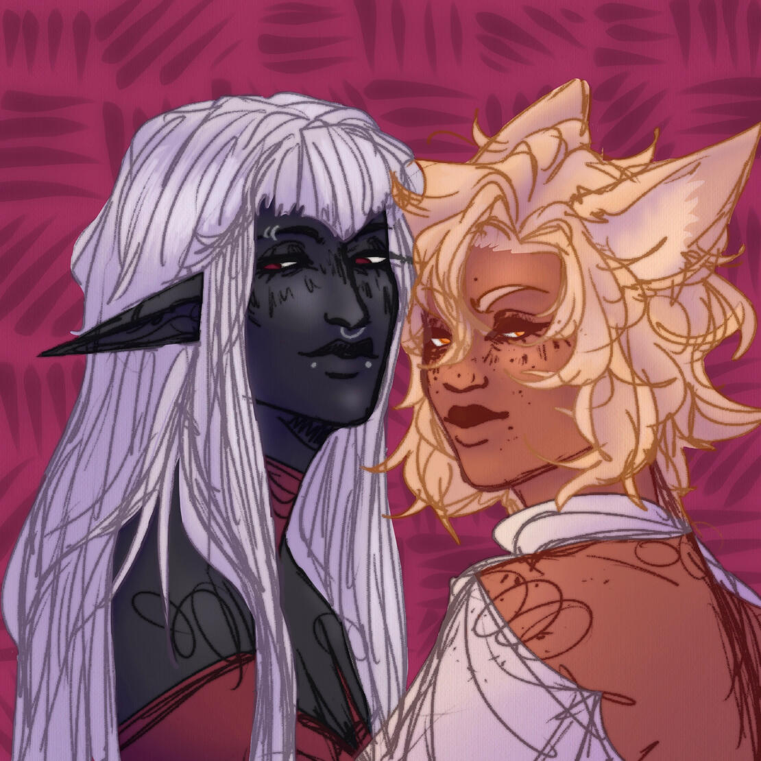 ARANEIDAE &amp; NEFRI - OCS